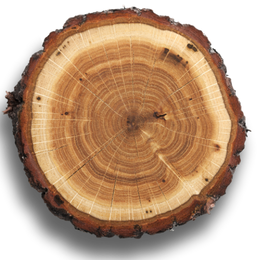 Scholz Holz Logo